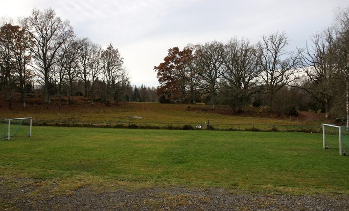 Utebliven gräsklippning skapade debatt