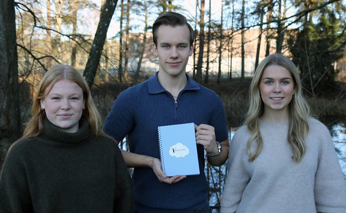 Unga företagare satsar på trygga steg