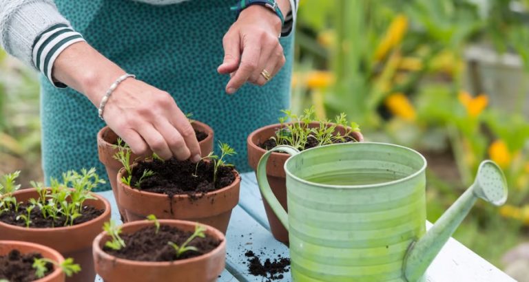 Jeanettes krönika: Inspiration till att odla!