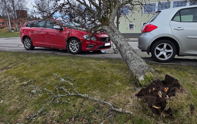 Larm om lösa föremål och träd över vägen